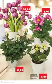 Catalog Kaufland săptămâna 19 Pagină 10