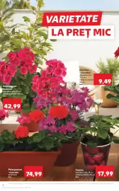 Catalog Kaufland săptămâna 19 Pagină 8
