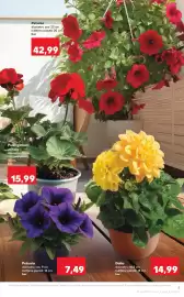 Catalog Kaufland săptămâna 19 Pagină 9