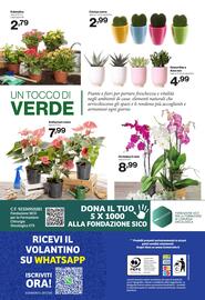 Volantino In'S Mercato Pagina 24