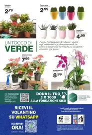 Volantino In'S Mercato Pagina 24