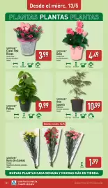 Folleto ALDI semana 20 Página 16