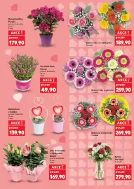 Kaufland leták týden 19 Strana 29