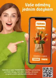 Terno leták týden 19 Strana 17