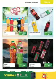 Tamda Foods leták týden 19 Strana 15