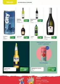 Tamda Foods leták týden 19 Strana 16