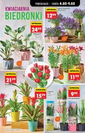 Biedronka gazetka tydzień 19 Strona 73