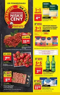 Biedronka gazetka