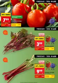 Biedronka gazetka tydzień 19 Strona 2
