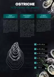 Volantino Centro Cash Pagina 3