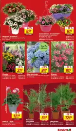 Toom Baumarkt Prospekt woche 19 Seite 3
