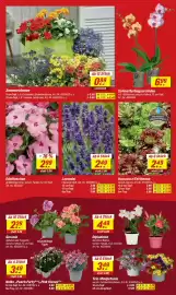 Toom Baumarkt Prospekt woche 19 Seite 4