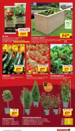 Toom Baumarkt Prospekt woche 19 Seite 5