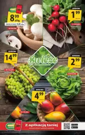 Arhelan gazetka Strona 2