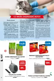AquaelZOO gazetka Strona 6