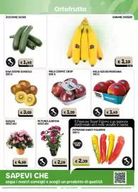 Volantino Gala Supermercati Pagina 7