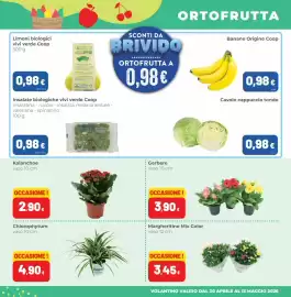 Volantino Coop Master Alleanza 3.0 | superstore Pagina 5