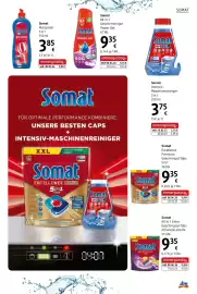 Dm Flugblatt Seite 23