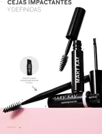 Catálogo Mary Kay Página 22