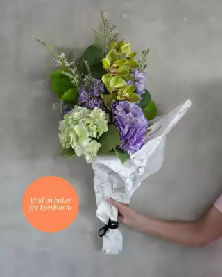 Plantorama (gælder indtil 10-05)