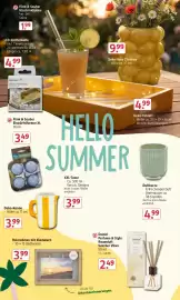 Rossmann DE folder Pagina 5