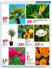Auchan folder Pagina 39