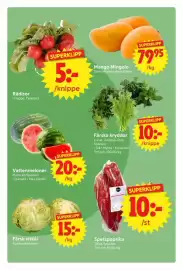 Nya Pulsen reklamblad vecka 19 Sida 5