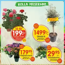 EKO reklamblad vecka 19 Sida 1