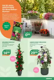 Bellaflora Flugblatt Seite 3