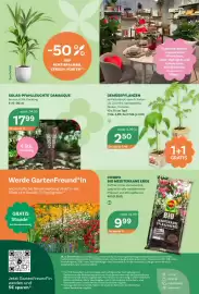 Bellaflora Flugblatt Seite 4