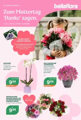 Bellaflora (gültig bis 16-05)