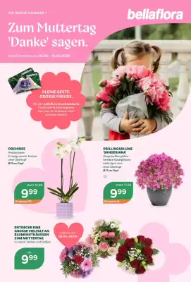 Bellaflora (gültig bis 16-05)