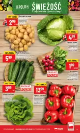 Polomarket gazetka tydzień 19 Strona 17
