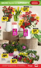 Polomarket gazetka tydzień 19 Strona 27