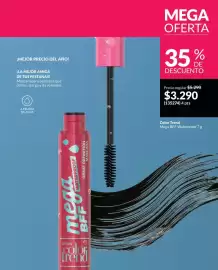 Catálogo Avon Página 17