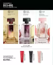 Catálogo Avon Página 53