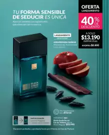 Catálogo Avon Página 62