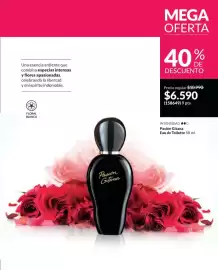 Catálogo Avon Página 67