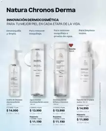 Catálogo Natura Página 101