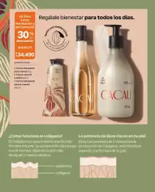 Catálogo Natura Página 117