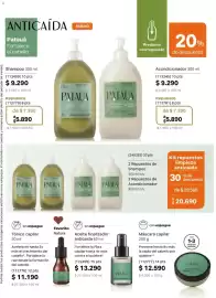 Catálogo Natura Página 163