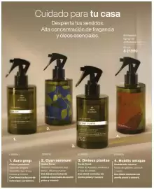 Catálogo Natura Página 179