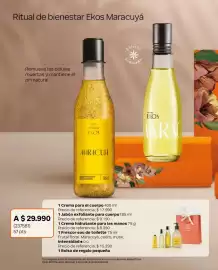 Catálogo Natura Página 20