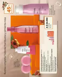 Catálogo Natura Página 25