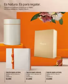 Catálogo Natura Página 40
