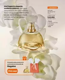 Catálogo Natura Página 55