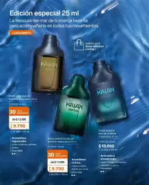 Catálogo Natura Página 63