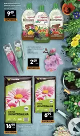 Delikatesy Centrum gazetka tydzień 19 Strona 39