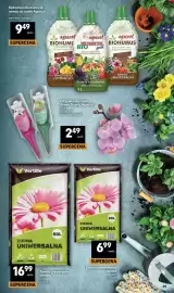 Delikatesy Centrum gazetka tydzień 19 Strona 39