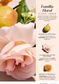 Catálogo Mary Kay Página 67